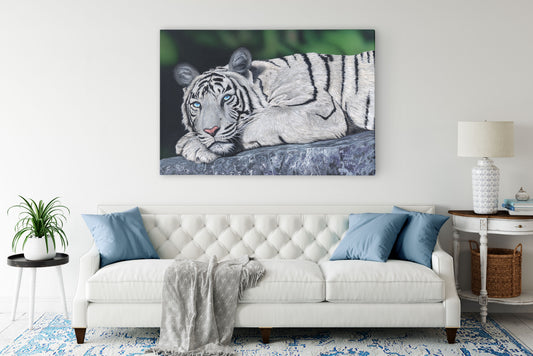 Baby Blues – White Tiger Wall Art