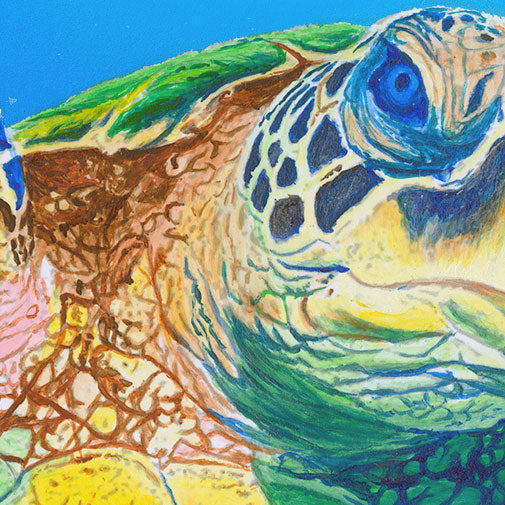 Sea Turtle Treasures – Sea Turtle Wall Art