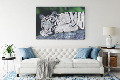 Baby Blues – White Tiger Wall Art