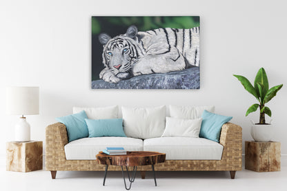 Baby Blues – White Tiger Wall Art