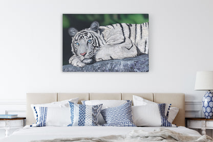 Baby Blues – White Tiger Wall Art