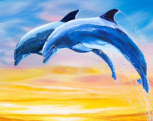 Dolphin Sunset – Dolphin Wall Art