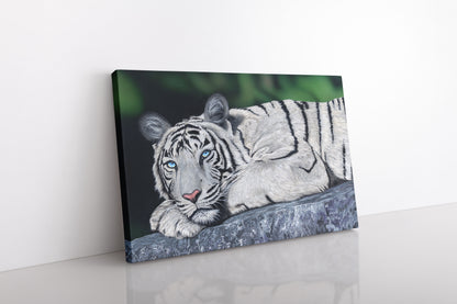 Baby Blues – White Tiger Wall Art